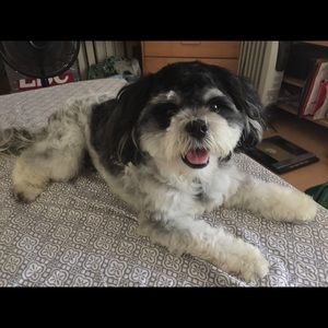 Meet your Posher, Cathleen